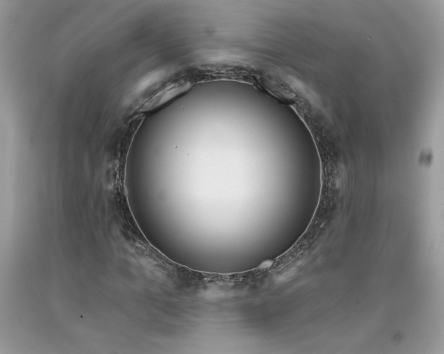 X0000094170965200710261105