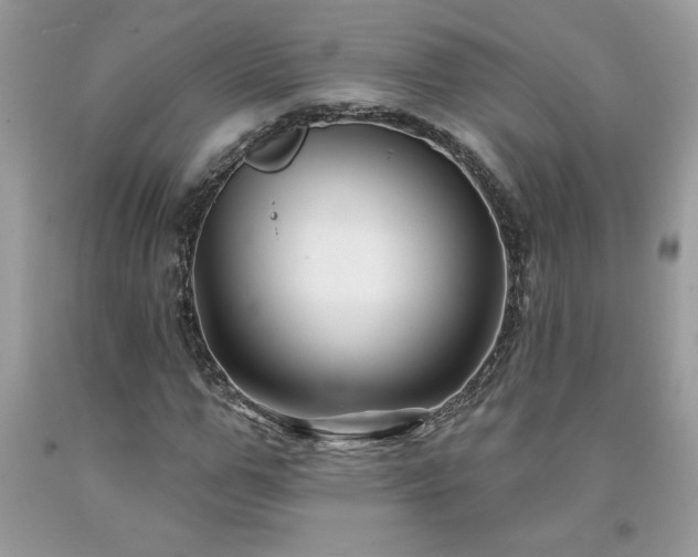 X0000094170967200710261105