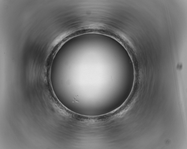 X0000094170970200710261105