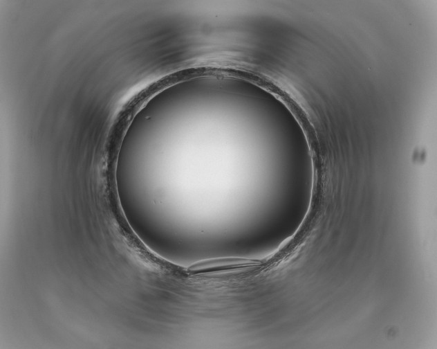 X0000094170971200710261105