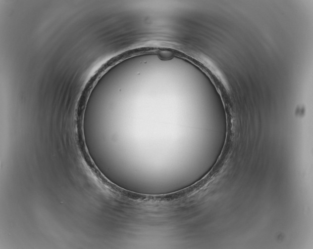 X0000094170972200710261105