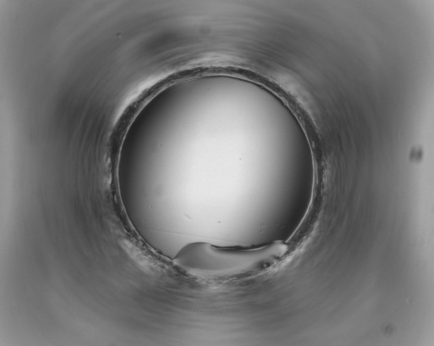 X0000094170973200710261105