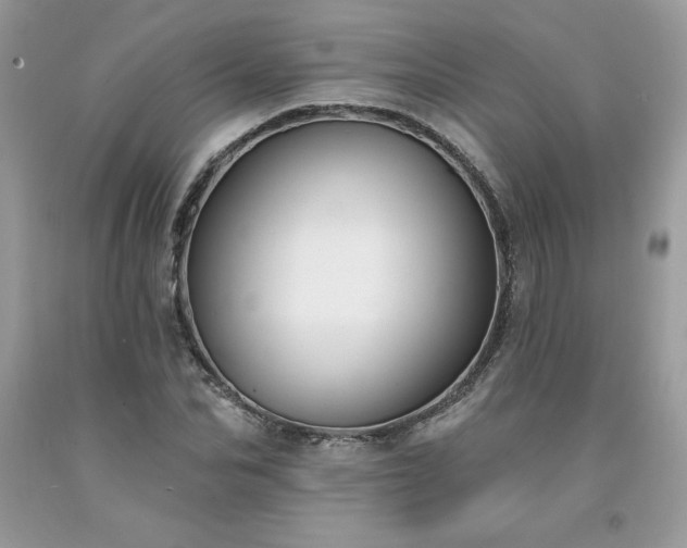 X0000094170974200710261105