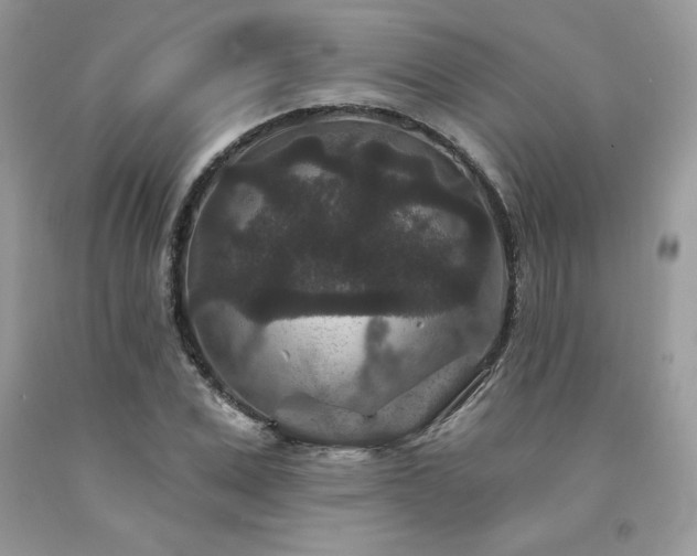 X0000094170975200710261105
