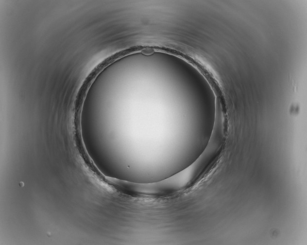 X0000094170976200710261105