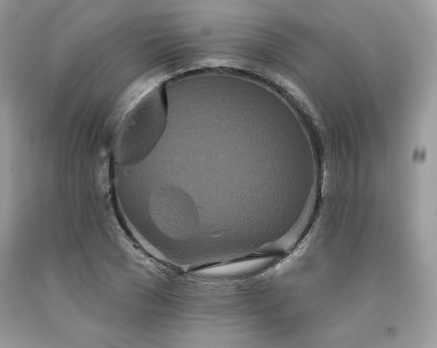X0000094170977200710261105
