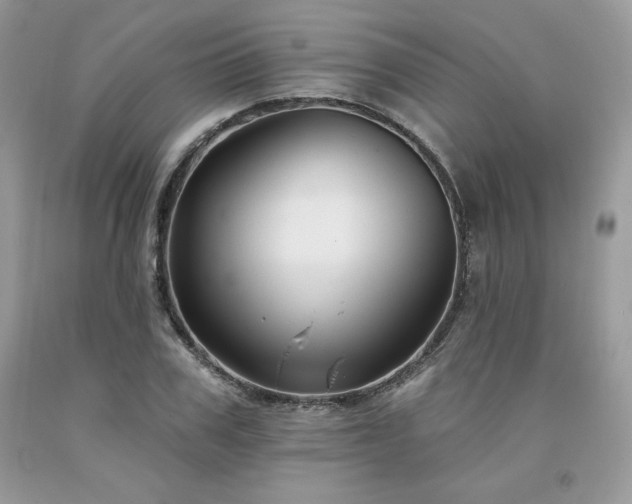 X0000094170979200710261105