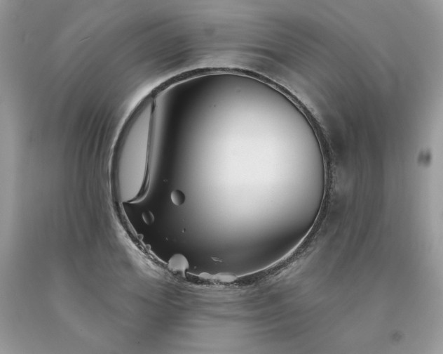 X0000094170980200710261105