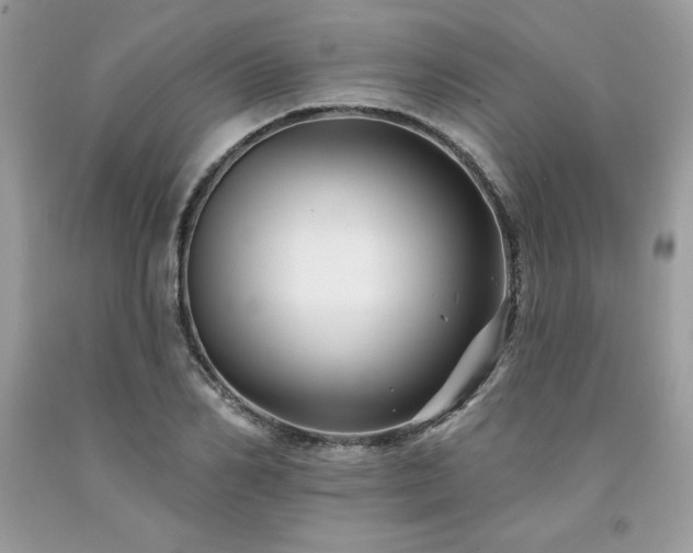 X0000094170982200710261105