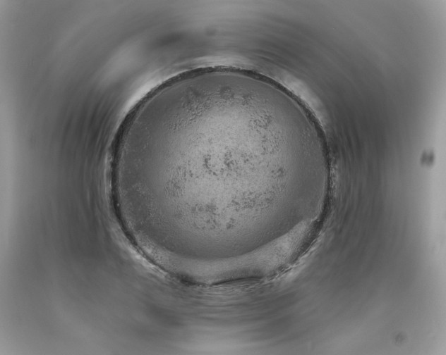 X0000094170983200710261105