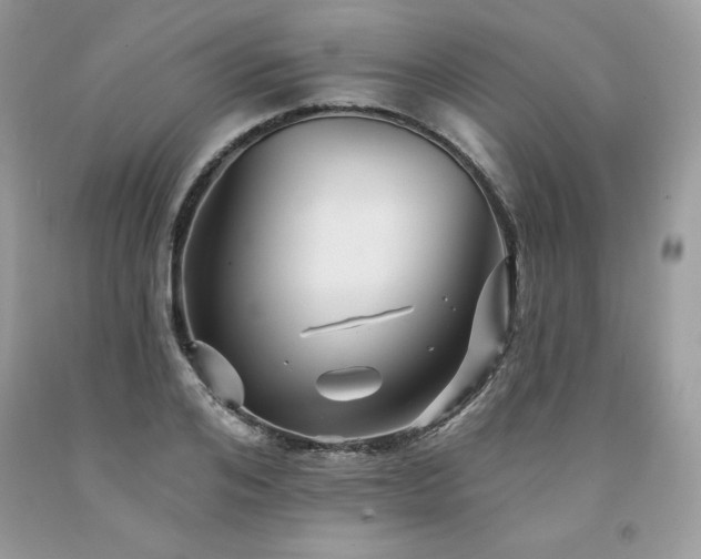 X0000094170984200710261105