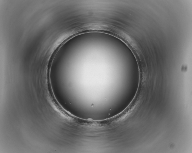 X0000094170986200710261105