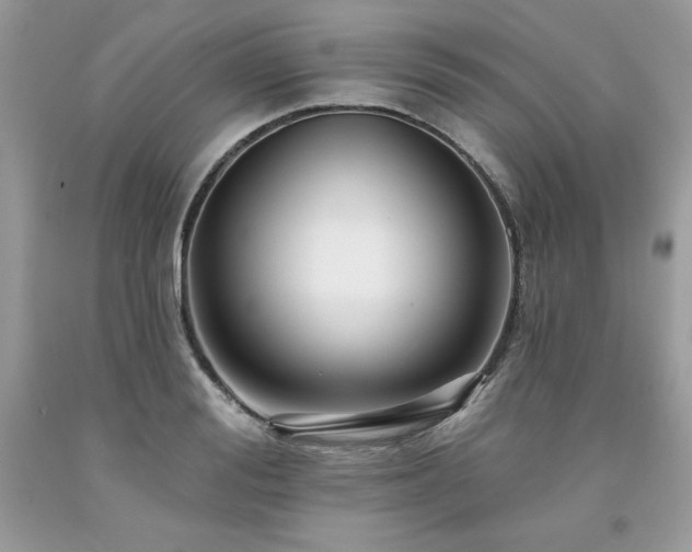 X0000094170988200710261105