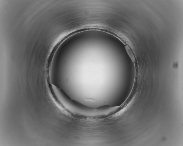 X0000094170989200710261105