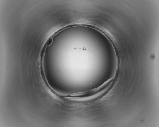 X0000094170990200710261105