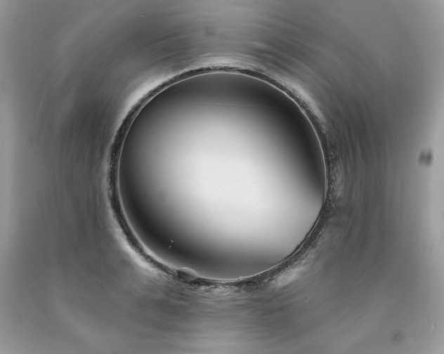 X0000094170991200710261105