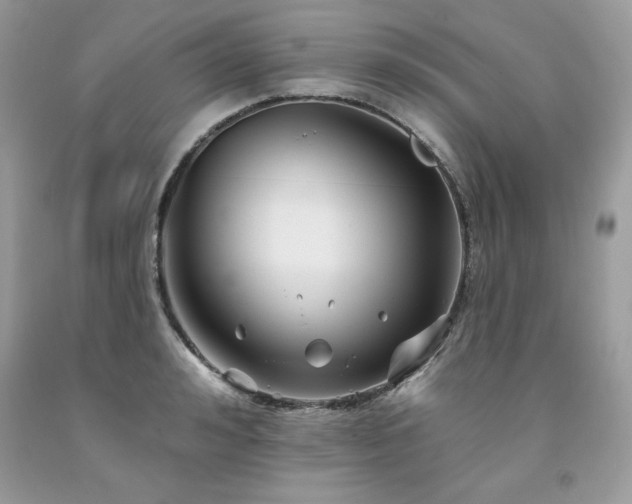 X0000094170992200710261105