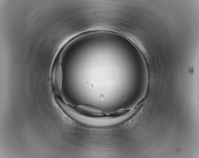 X0000094170996200710261105