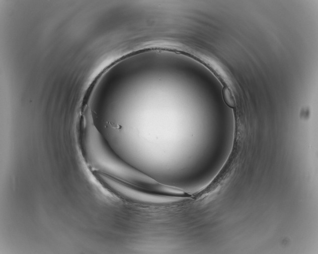 X0000094170999200710261104