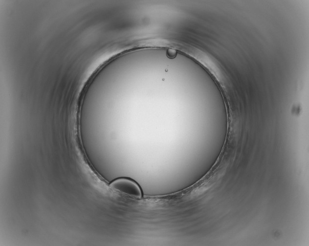 X0000094171000200710261104