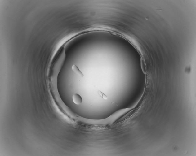 X0000094171003200710261104