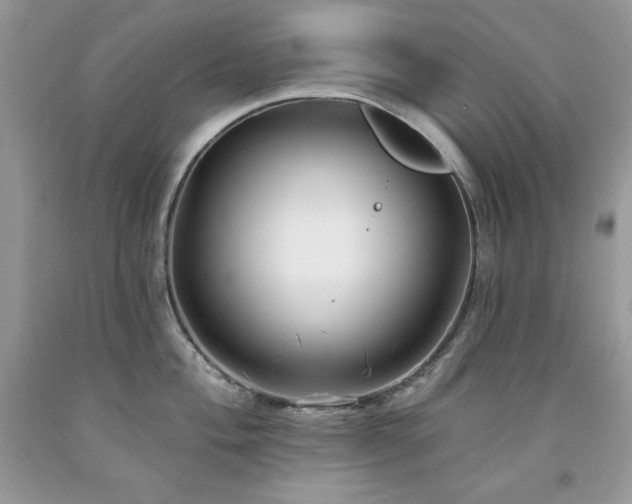 X0000094171004200710261104