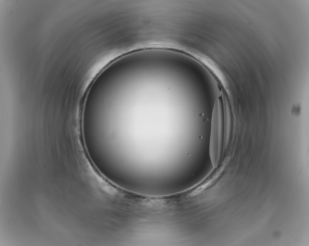 X0000094171006200710261104