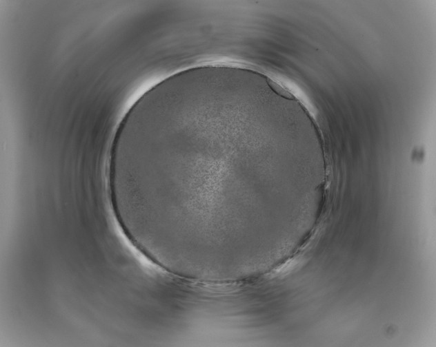 X0000094171007200710261104