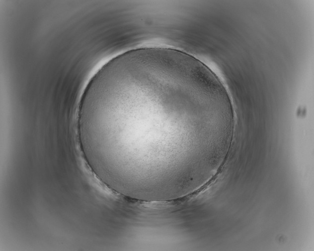 X0000094171008200710261104