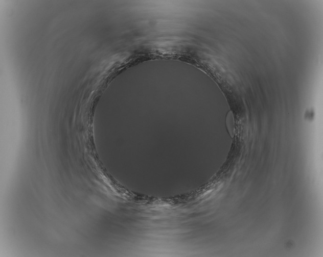 X0000094171009200710261104