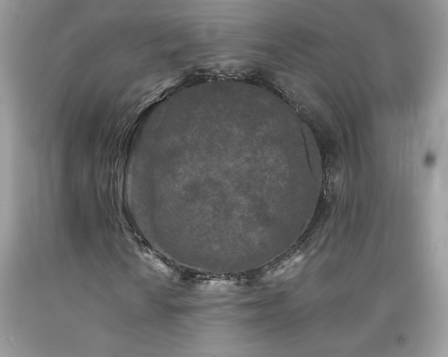 X0000094171010200710261104