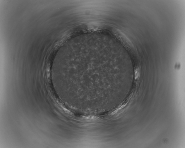 X0000094171011200710261104