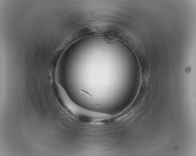 X0000094171012200710261104