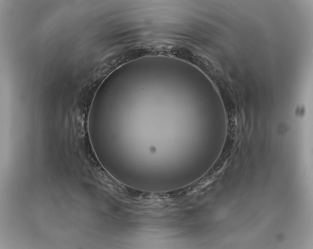 X0000094171013200710261104