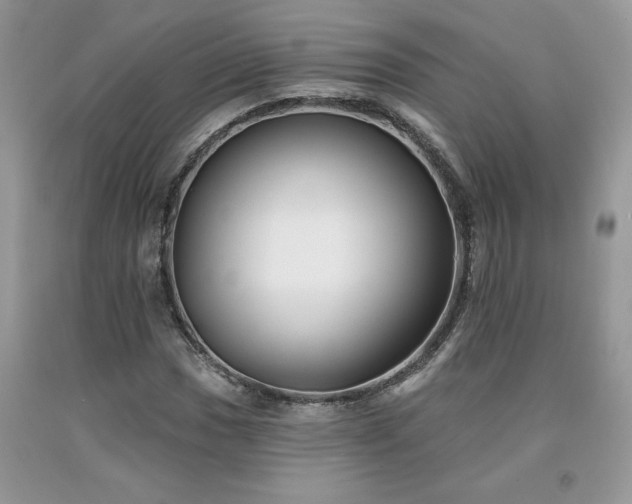 X0000094171017200710261104