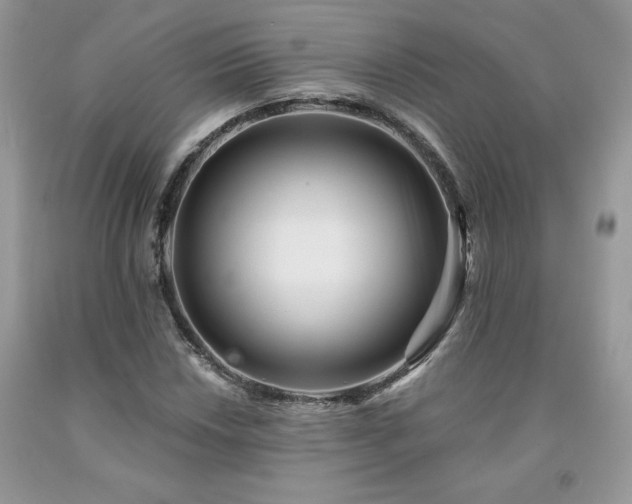 X0000094171018200710261104