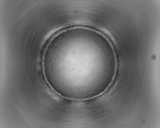 X0000094171019200710261104