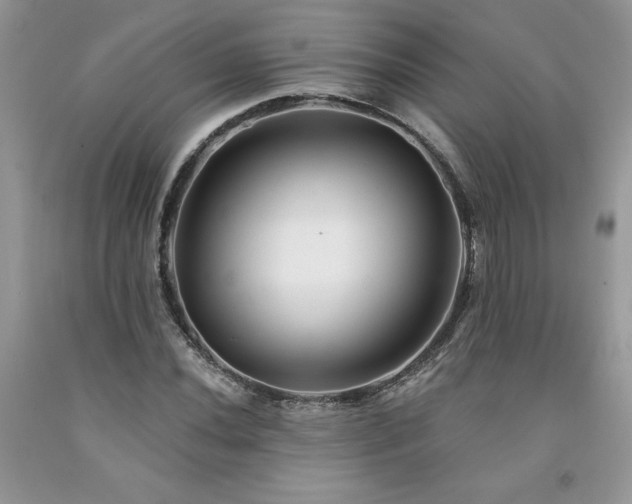 X0000094171020200710261104
