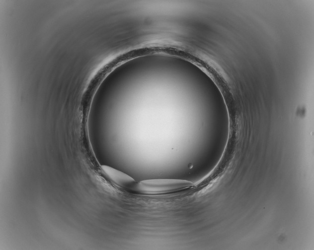 X0000094171021200710261104