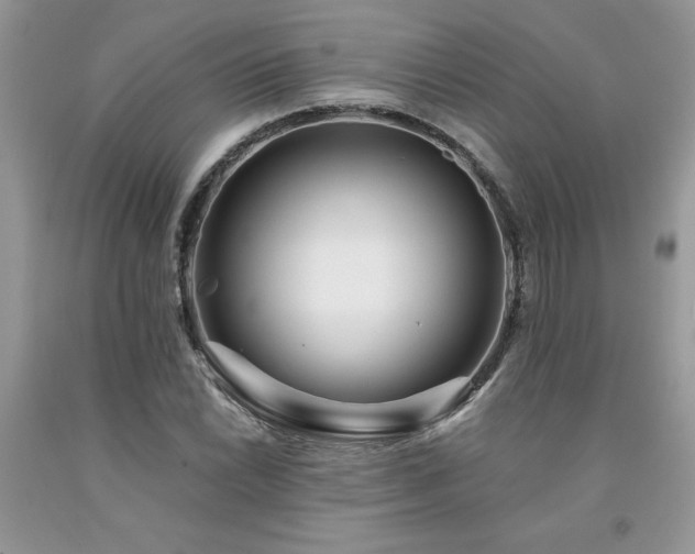 X0000094171022200710261104