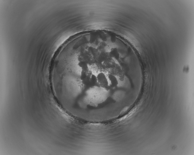X0000094171023200710261104