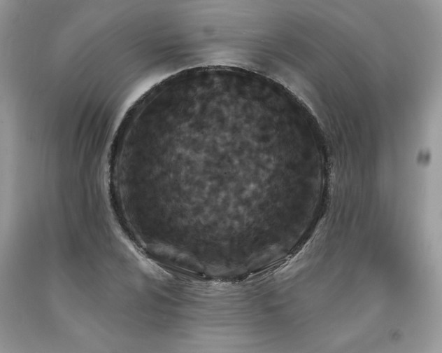 X0000094171024200710261104