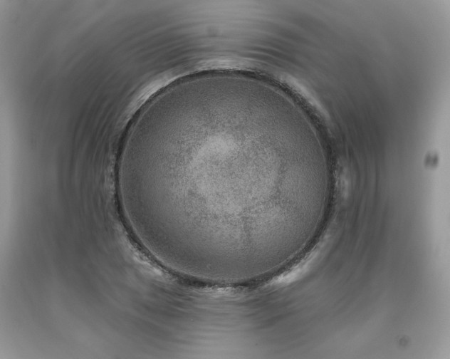 X0000094171025200710261104