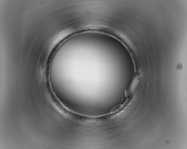 X0000094171026200710261104