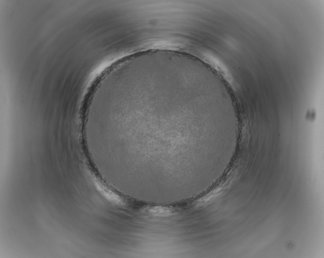 X0000094171027200710261104