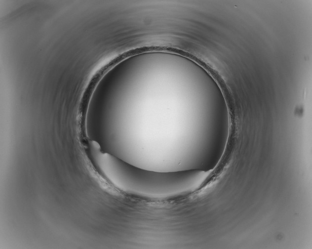 X0000094171029200710261104
