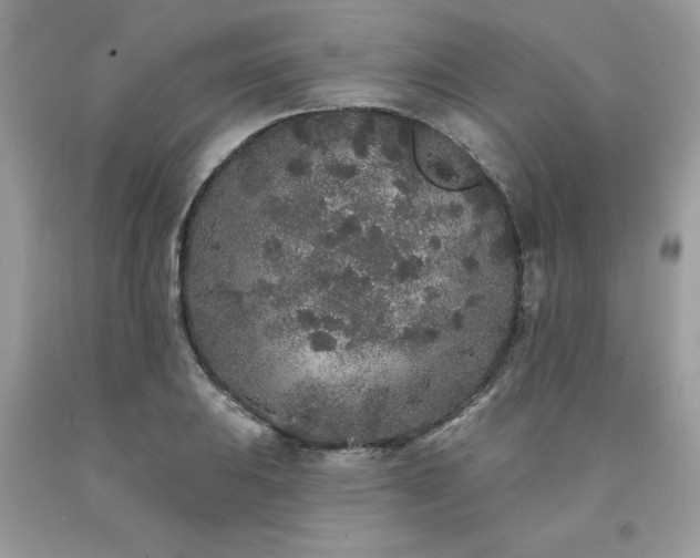 X0000094171031200710261104