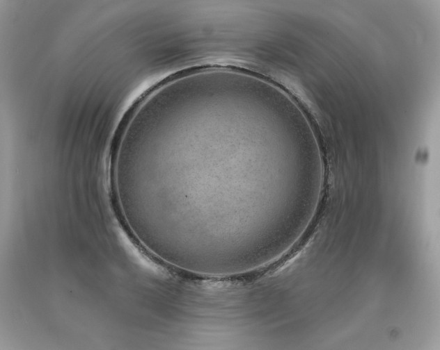 X0000094171032200710261104