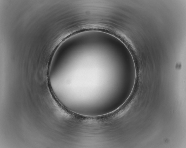 X0000094171033200710261104