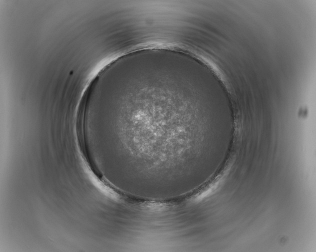 X0000094171034200710261104
